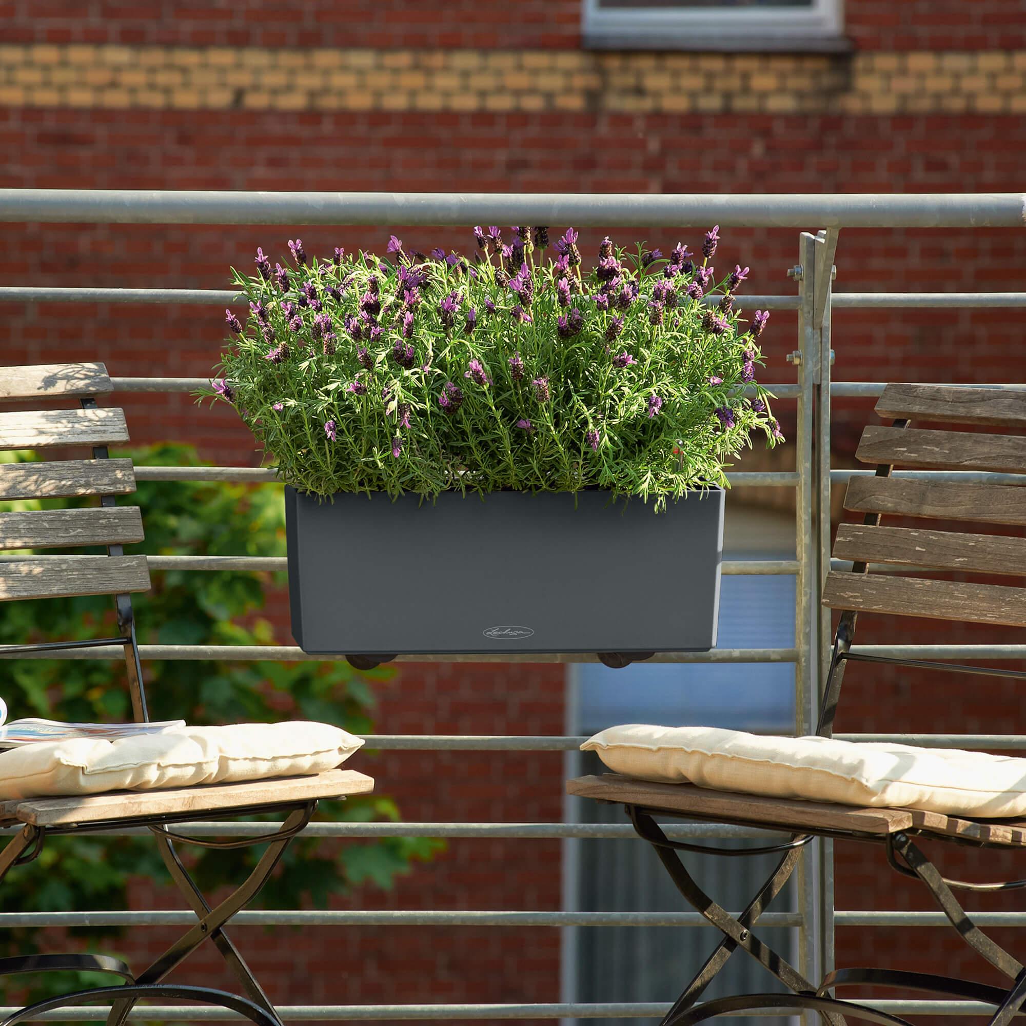 le_balconera-color50_product_addi_02